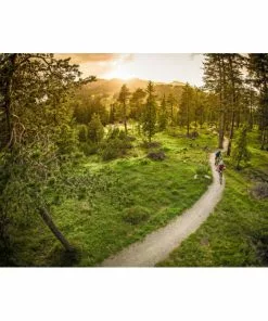 Ergon SMC Women's Sport Gel Saddle -Outlet Bremser Store Ergon SMC Womens Sport Gel Saddle 06